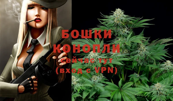 прущие крисы Беломорск