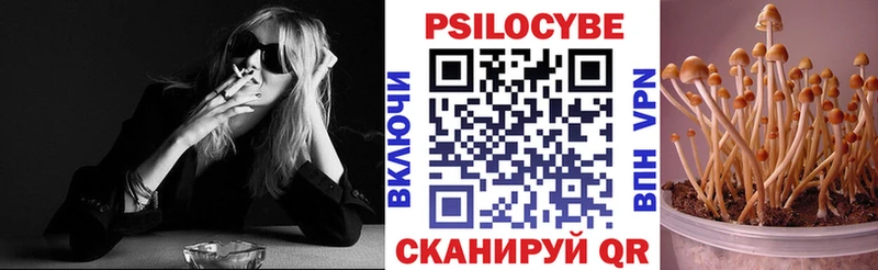 купить  сайты  Чёрмоз  Галлюциногенные грибы ЛСД 
